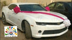 Bride & Groom's Car